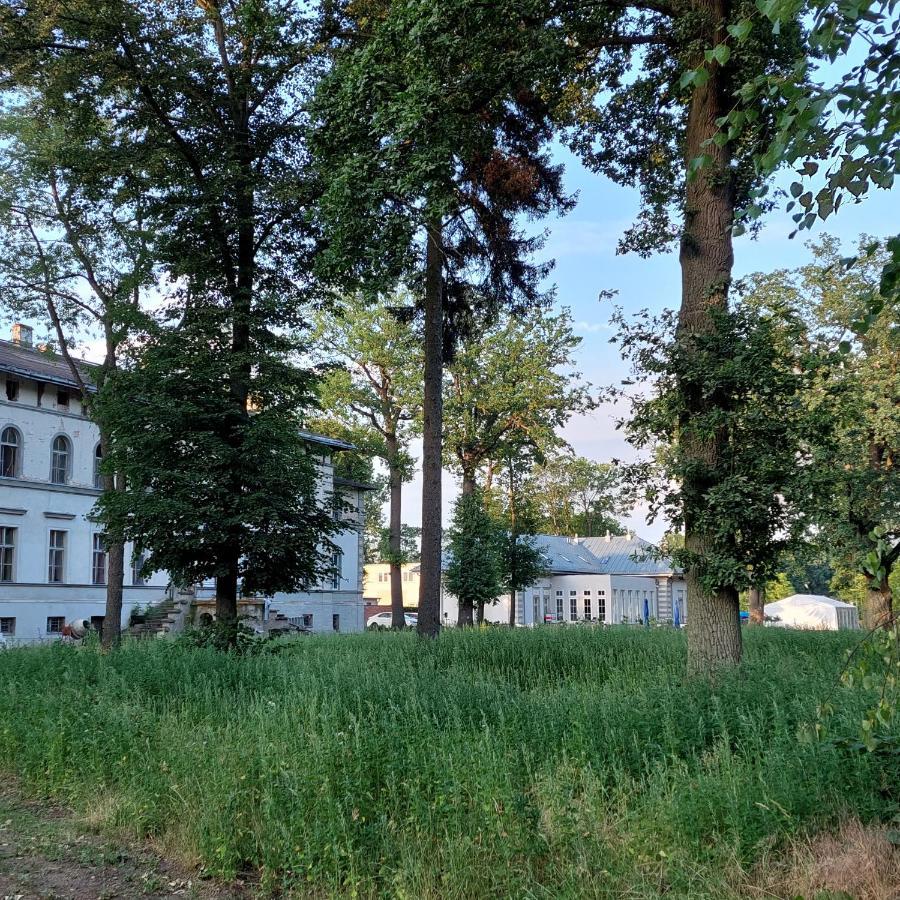Palac Dabrowka Rawicz Экстерьер фото